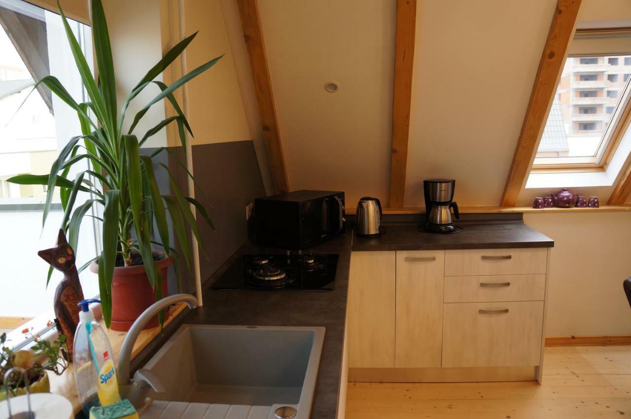 Apartament Leisure Apartmens Braszów Zewnętrze zdjęcie