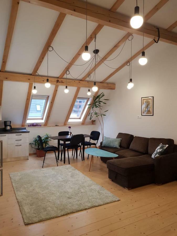 Apartament Leisure Apartmens Braszów Zewnętrze zdjęcie